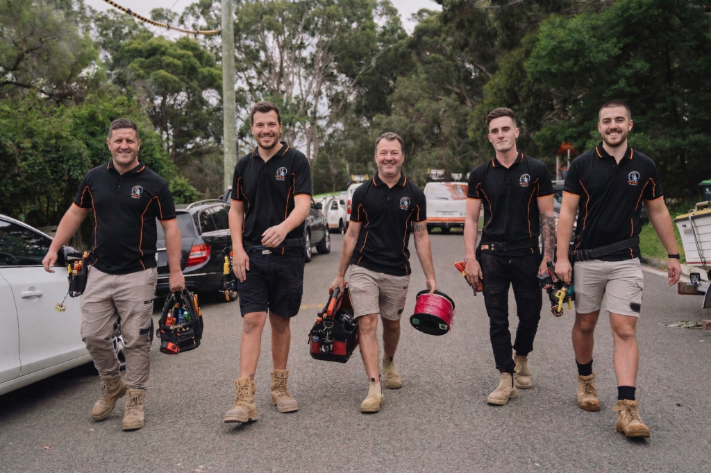 Professional electrical services in Dulwich Hill